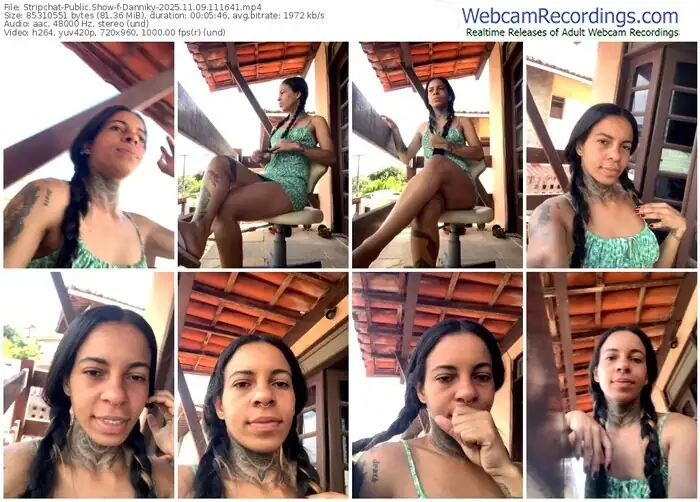 2025/11/09/stripchat-danniky-11-16-41