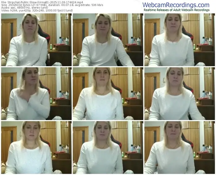 2025/11/09/stripchat-irinab1-17-46-24