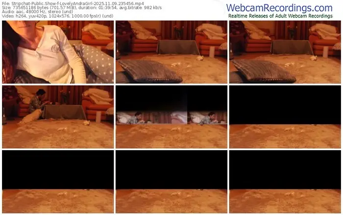 2025/11/09/stripchat-lovelyandragirl-23-54-56