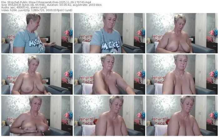 2025/11/09/stripchat-rosesandlillies-17-07-43