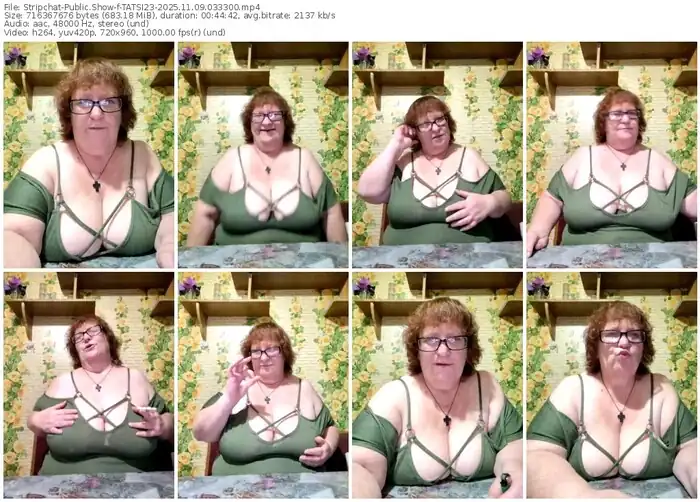 2025/11/09/stripchat-tatsi23-03-33-00