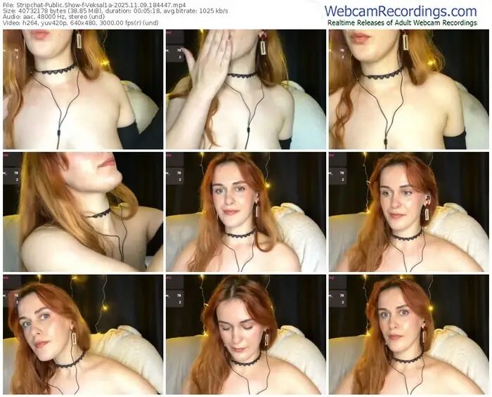 2025/11/09/stripchat-veksal1a-18-44-47