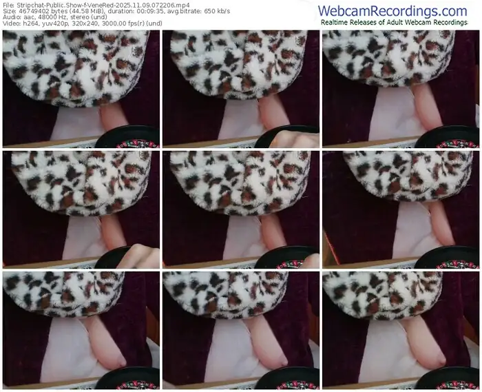 2025/11/09/stripchat-venered-07-22-06