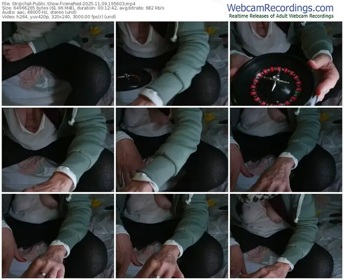 2025/11/09/stripchat-venered-19-56-03