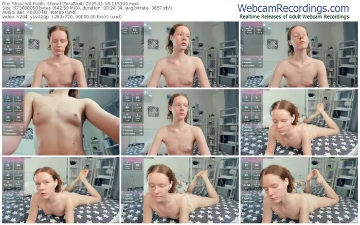 2025/11/09/stripchat-zarabluitt-11-53-09