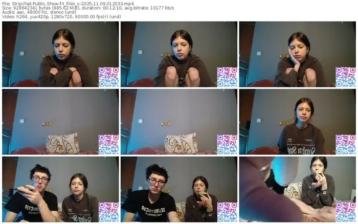 2025/11/09/stripchat-t_files_x-01-20-33