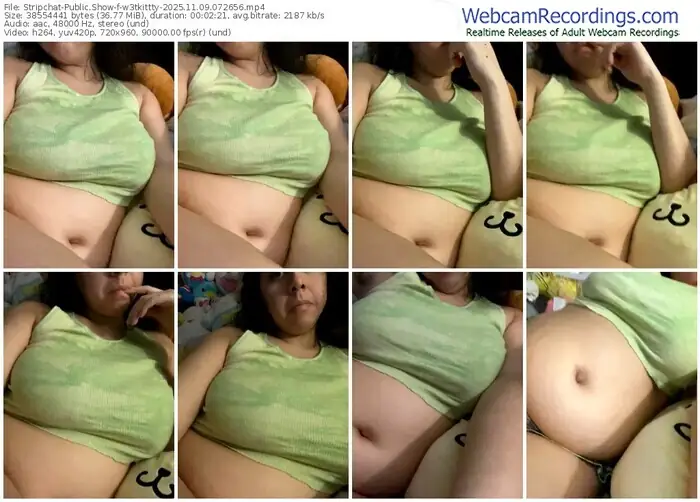 2025/11/09/stripchat-w3tkittty-07-26-56