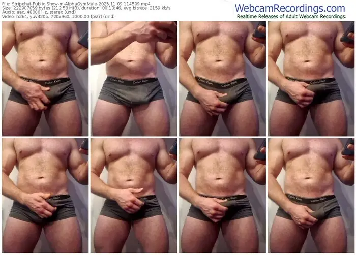 2025/11/09/stripchat-alphagymmale-11-45-09