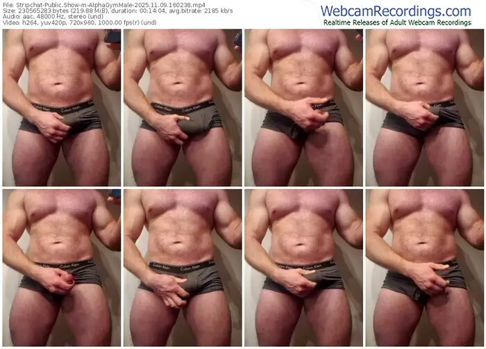 2025/11/09/stripchat-alphagymmale-16-02-38