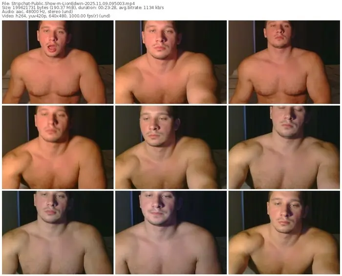 2025/11/09/stripchat-lionedwin-09-50-03
