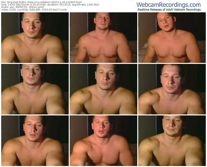 2025/11/09/stripchat-lionedwin-10-28-45