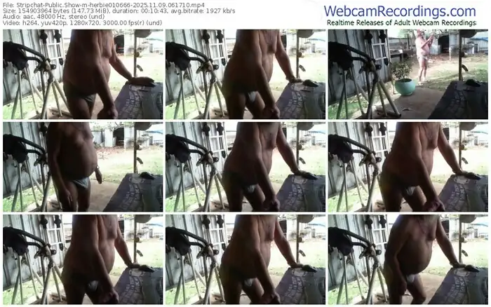 2025/11/09/stripchat-herbie010666-06-17-10