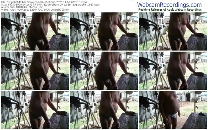 2025/11/09/stripchat-herbie010666-07-25-15