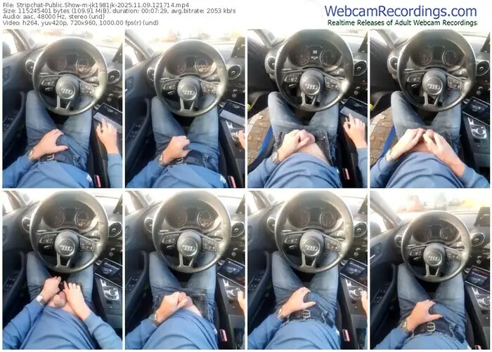 2025/11/09/stripchat-jk1981jk-12-17-14