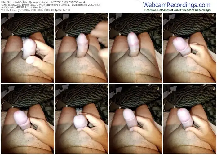 2025/11/09/stripchat-minnetird-09-16-30