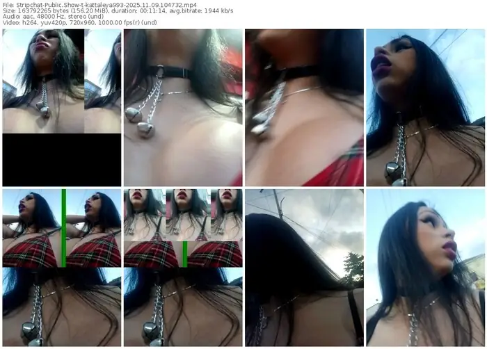 2025/11/09/stripchat-kattaleya993-10-47-32