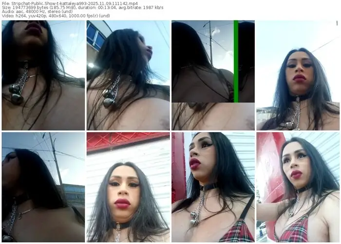 2025/11/09/stripchat-kattaleya993-11-11-42