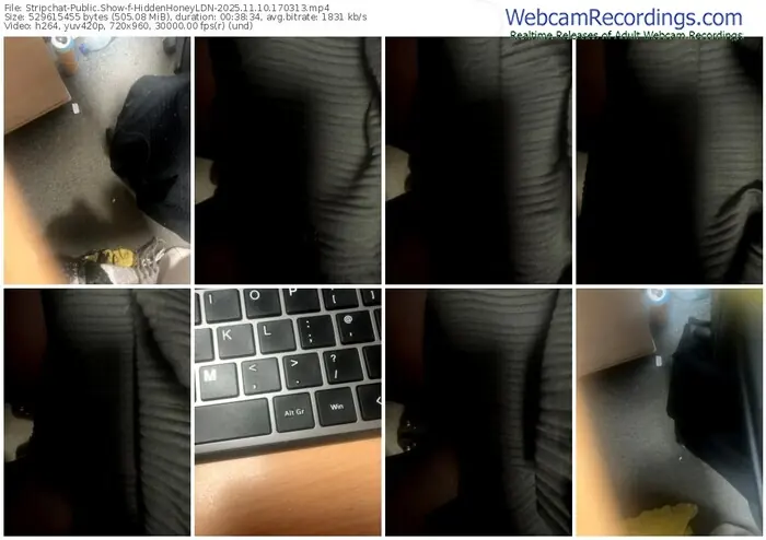 2025/11/10/stripchat-hiddenhoneyldn-17-03-13