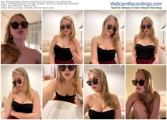 2025/11/10/stripchat-little_forest_elf-14-36-04