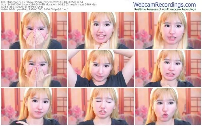 2025/11/10/stripchat-pinkie_princes-10-05-11