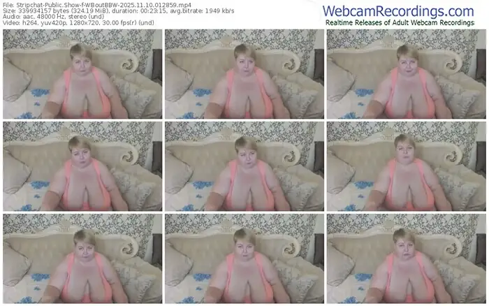 2025/11/10/stripchat-wboutbbw-01-28-59