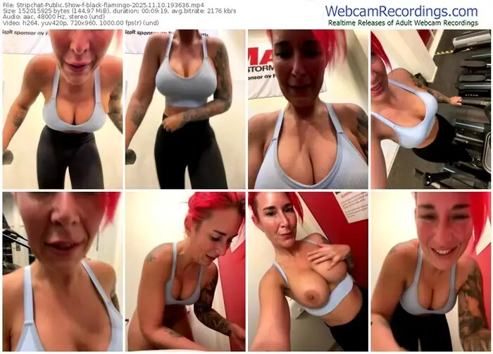 2025/11/10/stripchat-black-flamingo-19-36-36