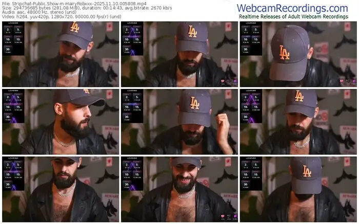 2025/11/10/stripchat-hairyrobxxx-00-58-08