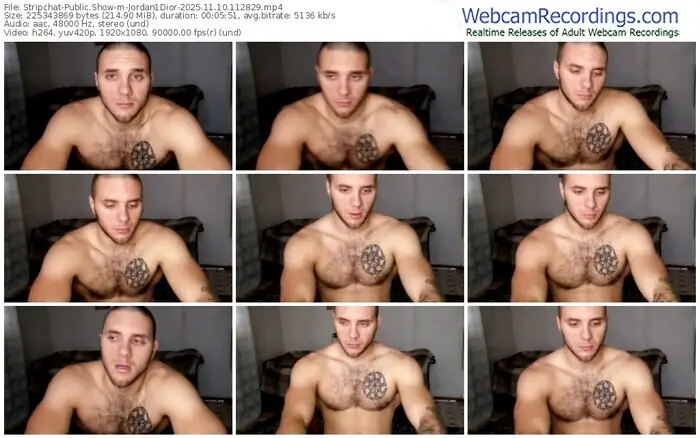 2025/11/10/stripchat-jordan1dior-11-28-29