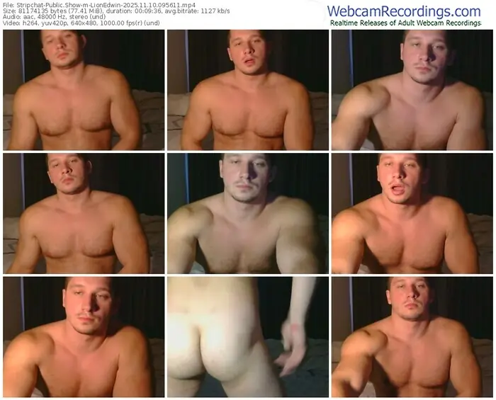 2025/11/10/stripchat-lionedwin-09-56-11