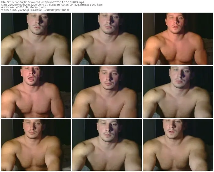 2025/11/10/stripchat-lionedwin-13-18-29