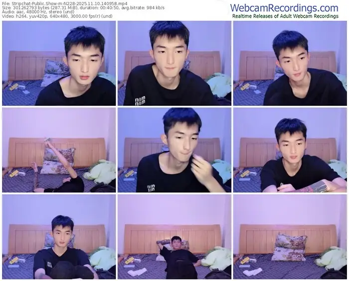 2025/11/10/stripchat-n228-14-09-58