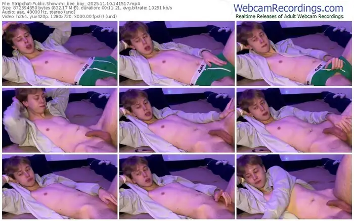 2025/11/10/stripchat-_bee_boy_-14-15-17