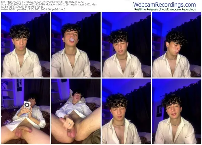 2025/11/10/stripchat-lion_cherry21-06-04-26