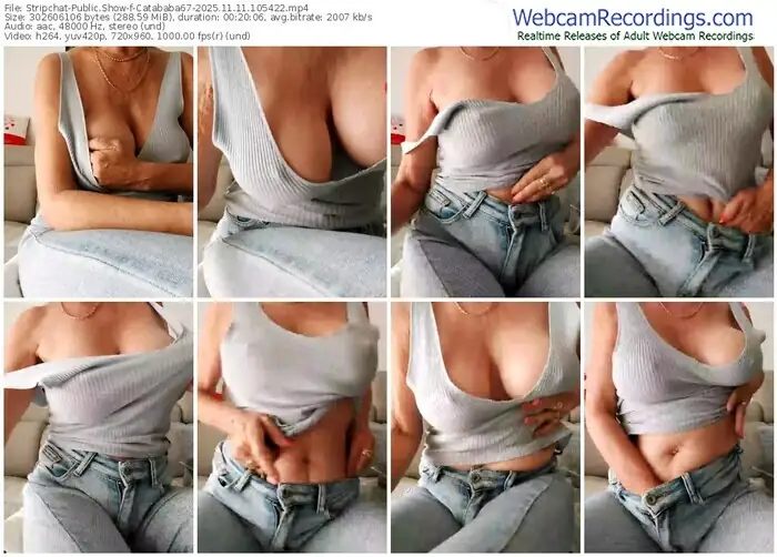 2025/11/11/stripchat-catababa67-10-54-22