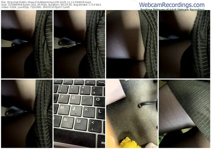 2025/11/12/stripchat-hiddenhoneyldn-09-40-06