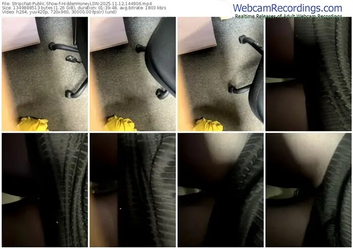 2025/11/12/stripchat-hiddenhoneyldn-14-49-06
