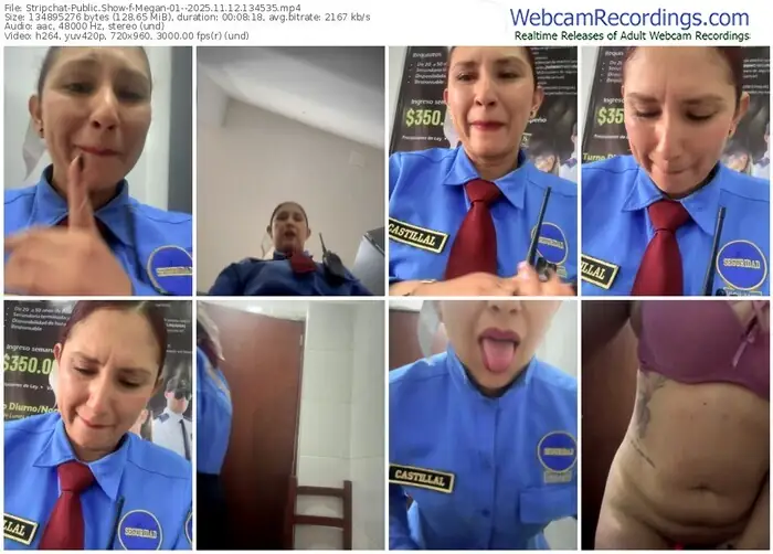 2025/11/12/stripchat-megan-01--13-45-35