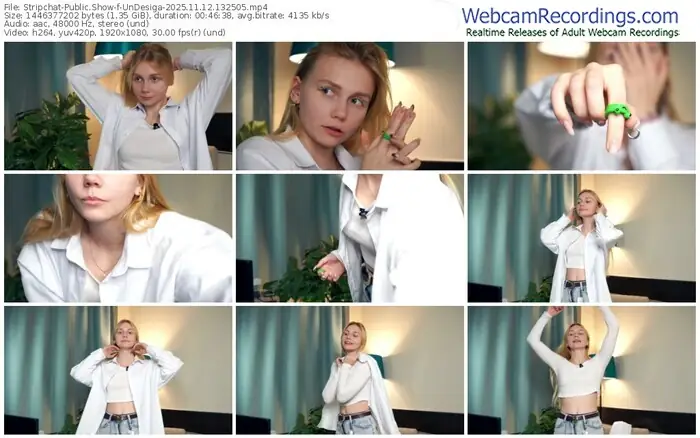 2025/11/12/stripchat-undesiga-13-25-05