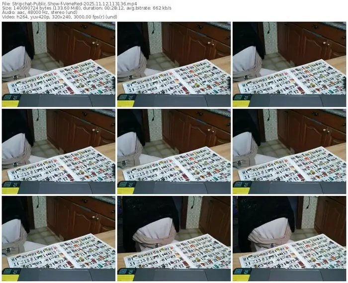 2025/11/12/stripchat-venered-11-31-36