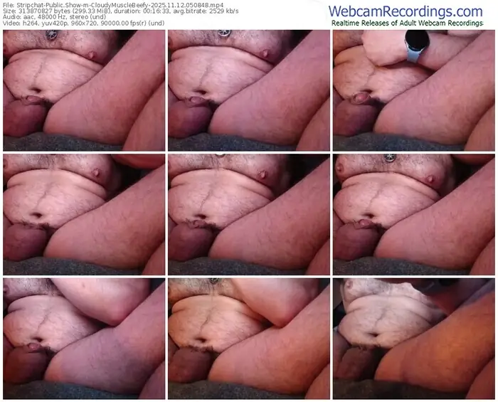 2025/11/12/stripchat-cloudymusclebeefy-05-08-48