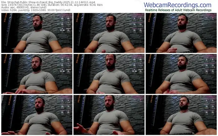 2025/11/12/stripchat-david_big_daddy-14-43-11
