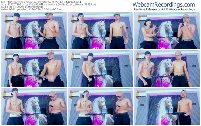 2025/11/12/stripchat-iam_steven-14-43-20