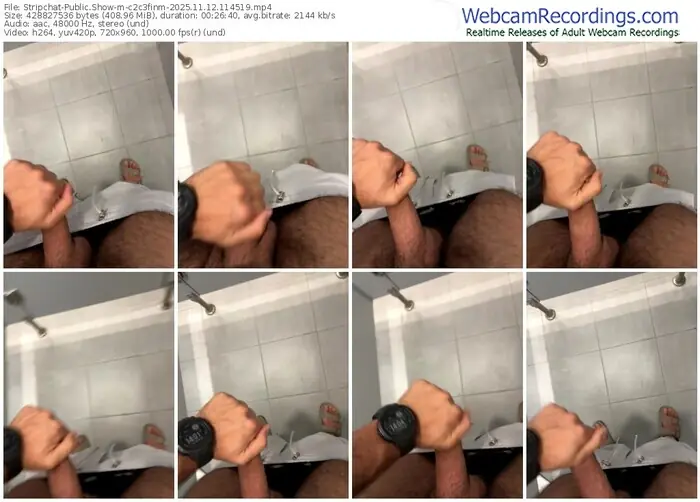 2025/11/12/stripchat-c2c3finm-11-45-19