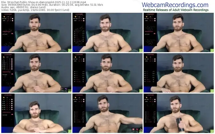 2025/11/12/stripchat-damongold-11-26-38