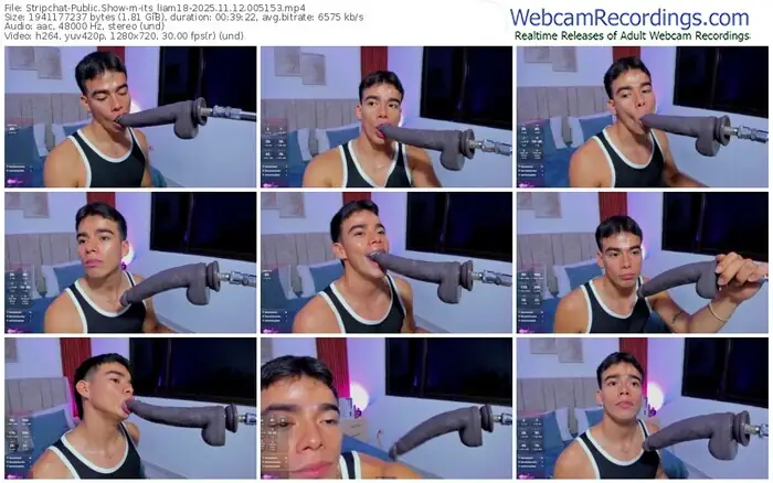 2025/11/12/stripchat-its_liam18-00-51-53