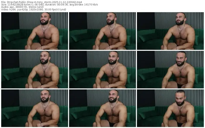 2025/11/12/stripchat-tony_storm-22-09-42