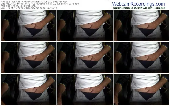 2025/11/12/stripchat-velikifant7-05-34-24