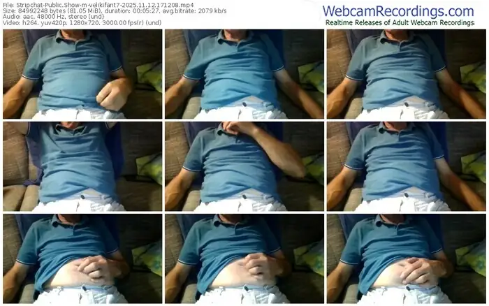 2025/11/12/stripchat-velikifant7-17-12-08