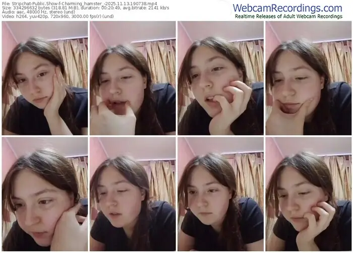 2025/11/13/stripchat-charming_hamster_-19-07-38