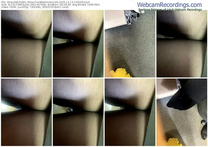2025/11/13/stripchat-hiddenhoneyldn-10-25-45